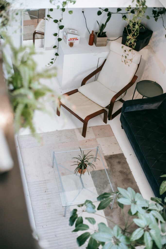 living room with glass coffee table and plants

decorating ideas